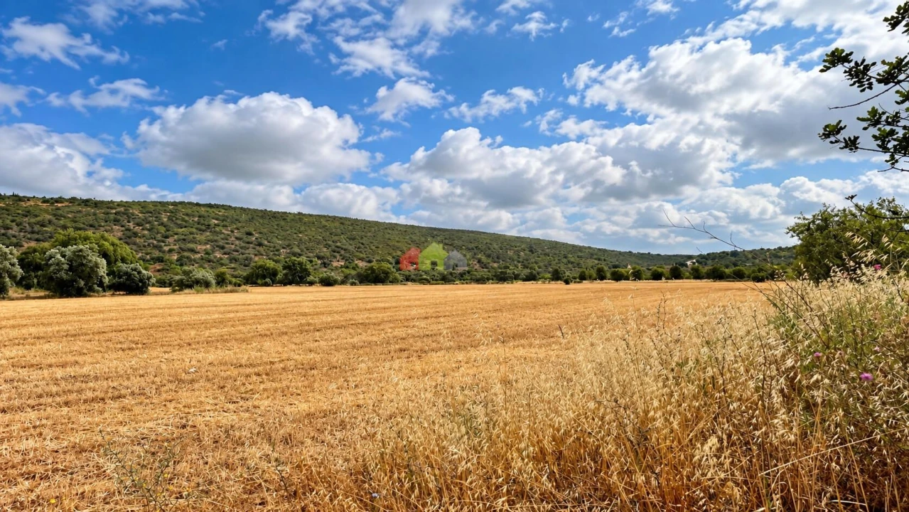 Quinta T5 para Venda em Querença, Tôr e Benafim Foto 8