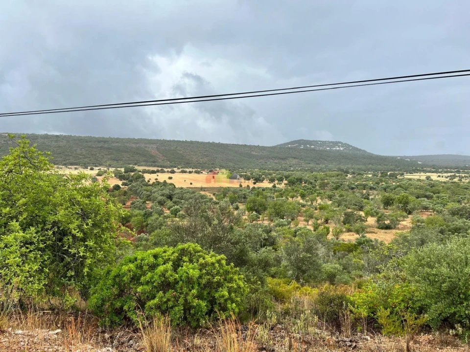 Quinta T5 para Venda em Querença, Tôr e Benafim Foto 25