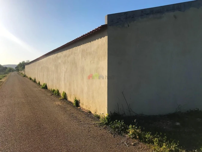 Quinta T5 para Venda em Querença, Tôr e Benafim Foto 21
