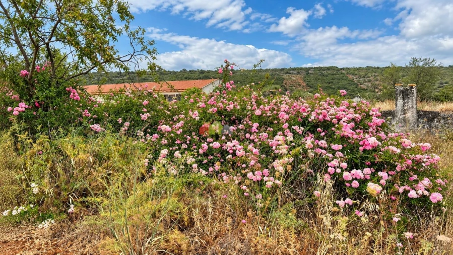 Quinta T5 para Venda em Querença, Tôr e Benafim Foto 10