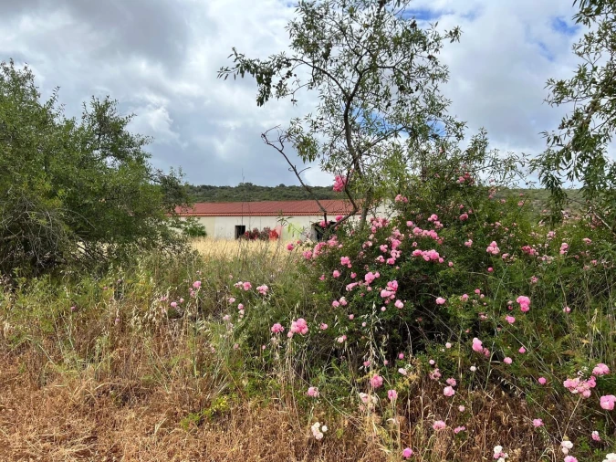 Quinta T5 para Venda em Querença, Tôr e Benafim Foto 20