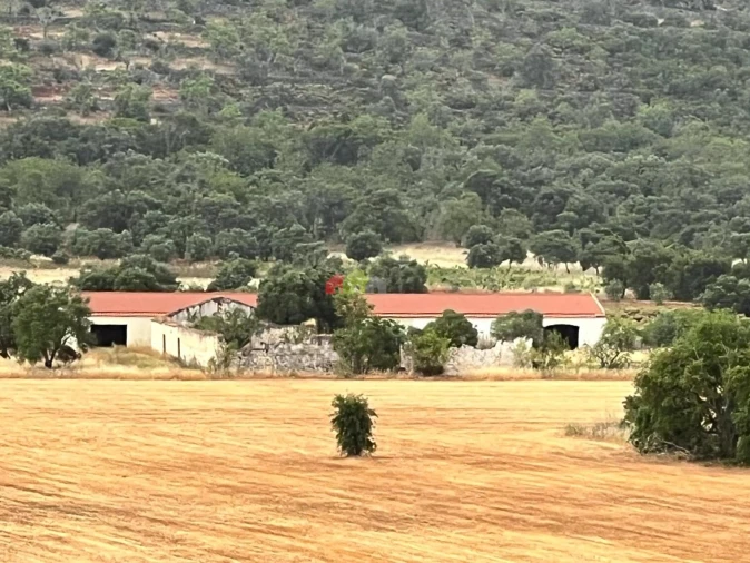 Quinta T5 para Venda em Querença, Tôr e Benafim Foto 1
