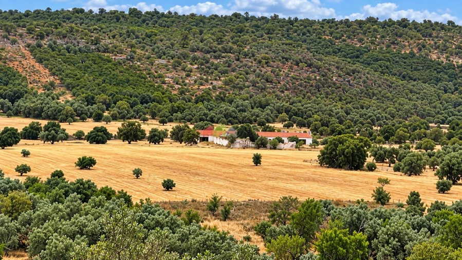 Quinta T5 para Venda em Querença, Tôr e Benafim Foto 2