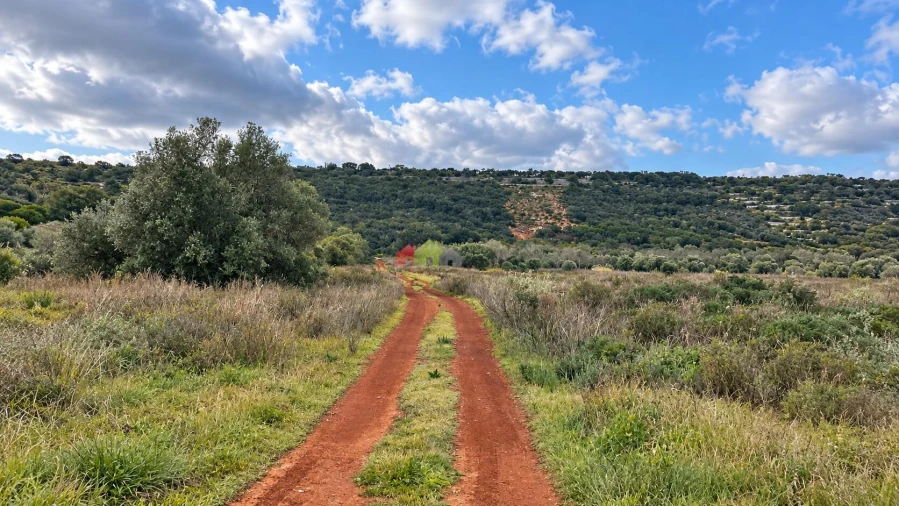 Quinta T5 para Venda em Querença, Tôr e Benafim Foto 12