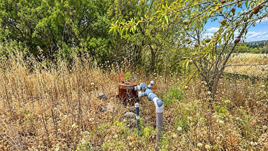 Quinta T5 para Venda em Querença, Tôr e Benafim Foto 11