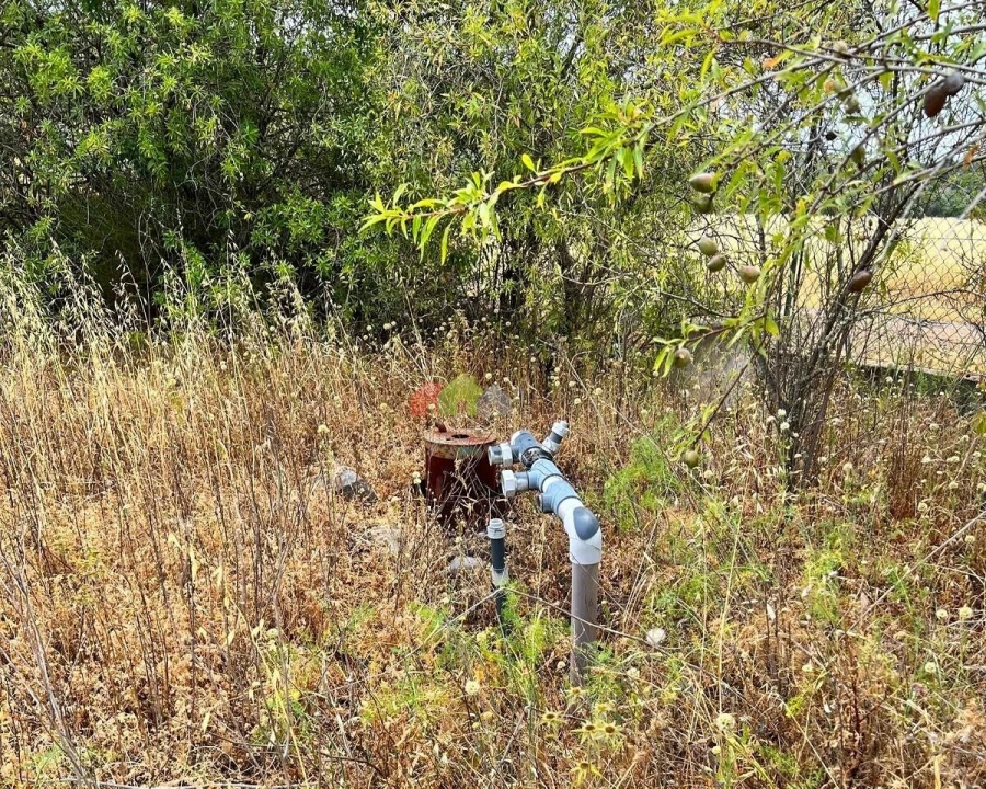 Quinta T5 para Venda em Querença, Tôr e Benafim Foto 22