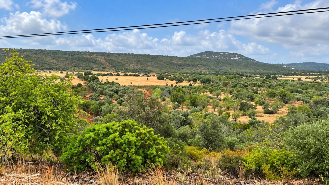 Quinta T5 para Venda em Querença, Tôr e Benafim Foto 7
