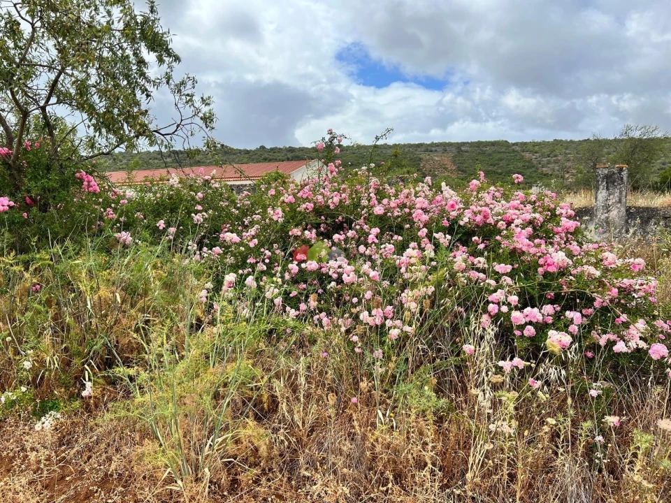 Quinta T5 para Venda em Querença, Tôr e Benafim Foto 23