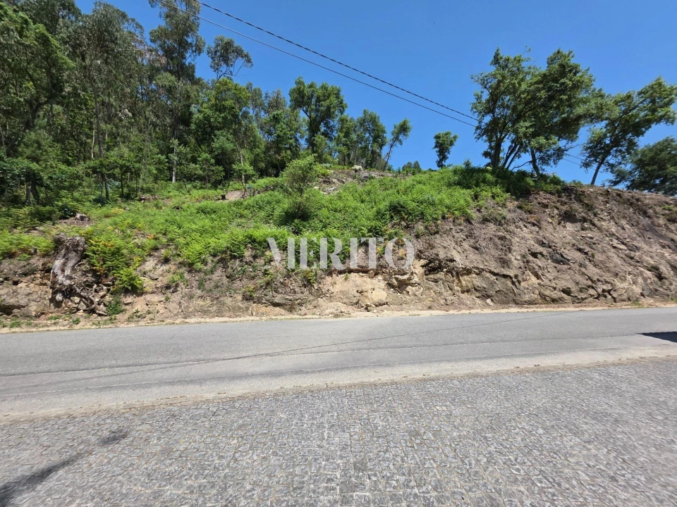 Terreno para Venda em Carapeços Foto 12