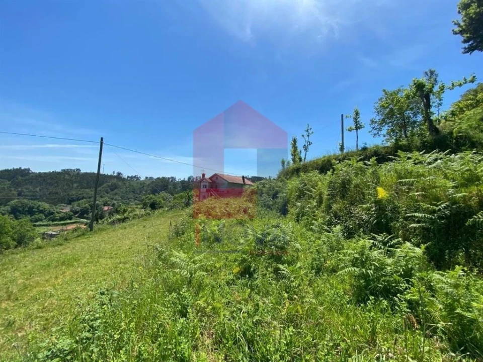 Terreno para Venda em Valbom (São Pedro), Passô e Valbom (São Martinho) Foto 17