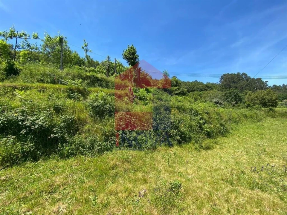 Terreno para Venda em Valbom (São Pedro), Passô e Valbom (São Martinho) Foto 14