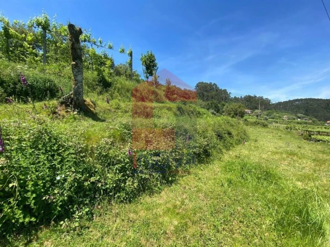 Terreno para Venda em Valbom (São Pedro), Passô e Valbom (São Martinho) Foto 23