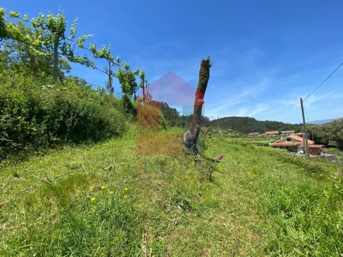 Terreno para Venda em Valbom (São Pedro), Passô e Valbom (São Martinho) Foto 21