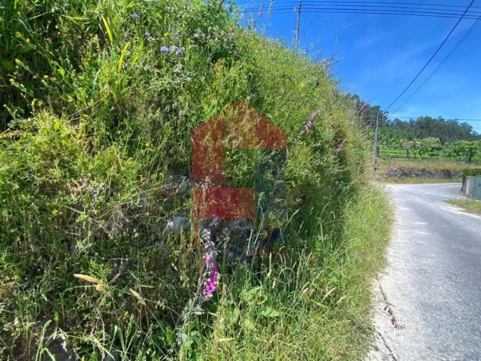 Terreno para Venda em Valbom (São Pedro), Passô e Valbom (São Martinho) Foto 30