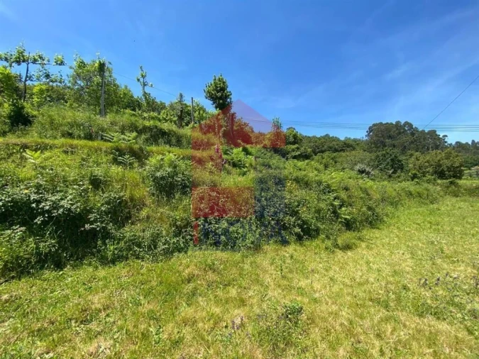 Terreno para Venda em Valbom (São Pedro), Passô e Valbom (São Martinho) Foto 14