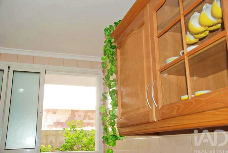 Apartamento T1 para Venda em Porto Santo Foto 8