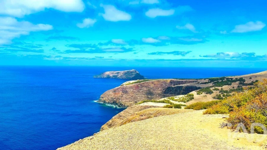 Apartamento T1 para Venda em Porto Santo Foto 27