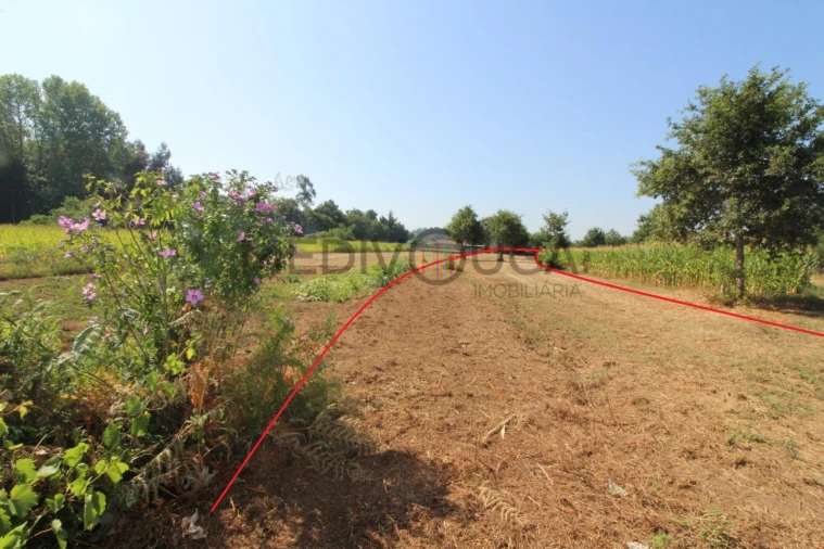 Terreno para Venda em Trofa, Segadães e Lamas do Vouga