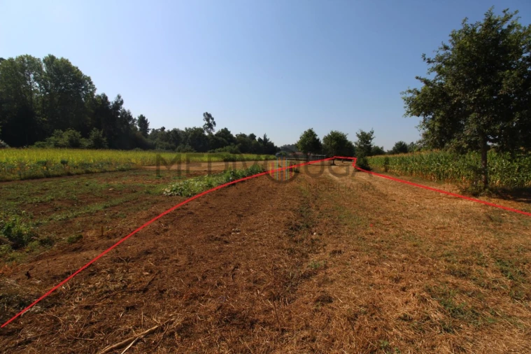Terreno para Venda em Trofa, Segadães e Lamas do Vouga Foto 2
