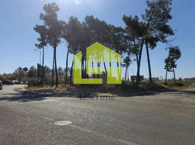Terreno para Venda em Azeitão (São Lourenço e São Simão) Foto 2