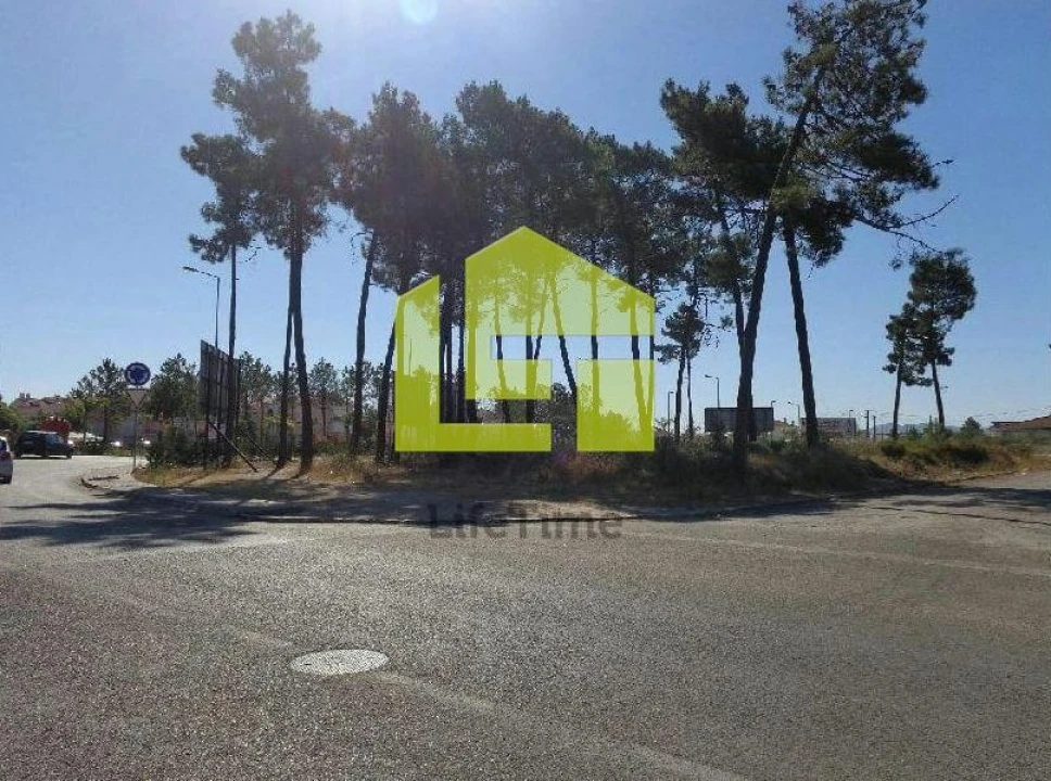 Terreno para Venda em Azeitão (São Lourenço e São Simão) Foto 2