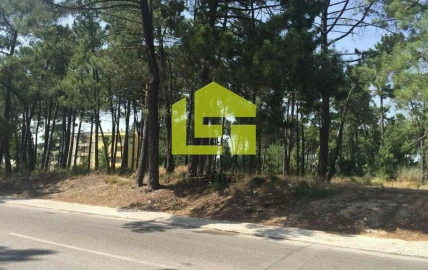 Terreno para Venda em Azeitão (São Lourenço e São Simão)