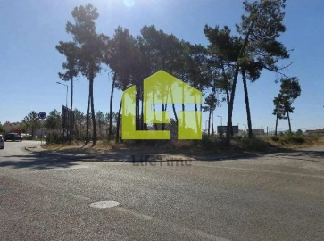 Terreno para Venda em Azeitão (São Lourenço e São Simão)