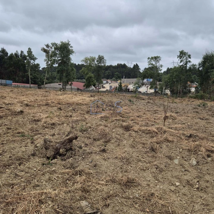Terreno para Venda em Ferreira do Zezere Foto 11