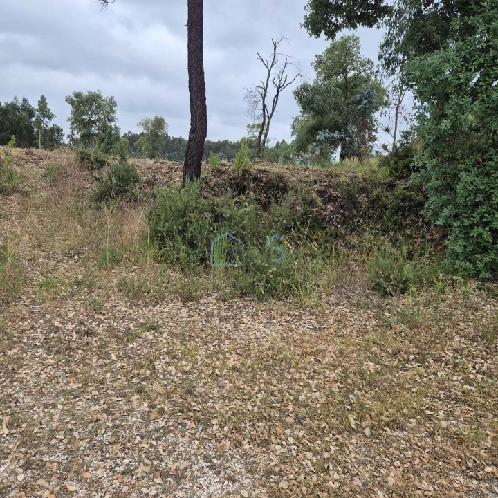 Terreno para Venda em Ferreira do Zezere Foto 9