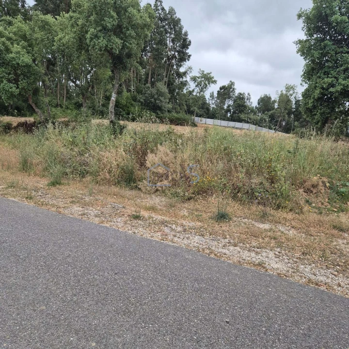 Terreno para Venda em Ferreira do Zezere Foto 3