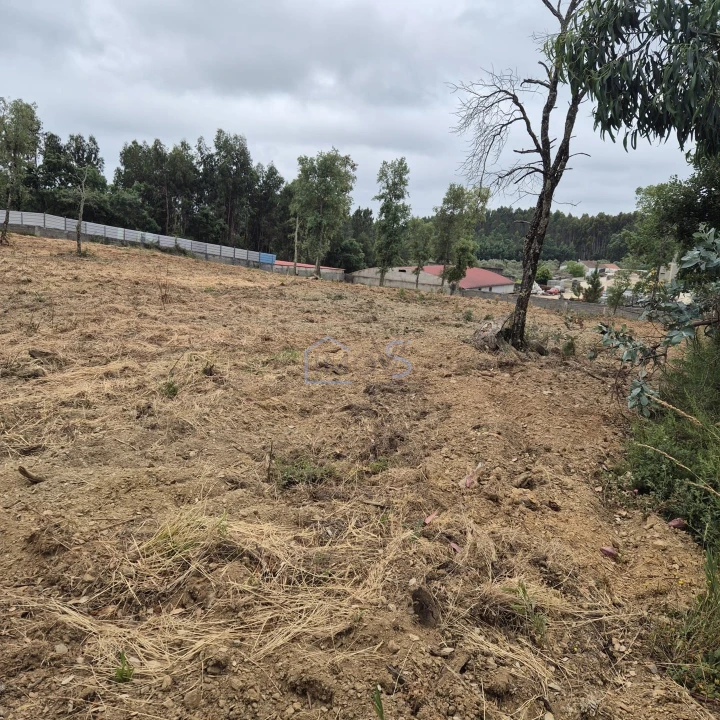 Terreno para Venda em Ferreira do Zezere Foto 17