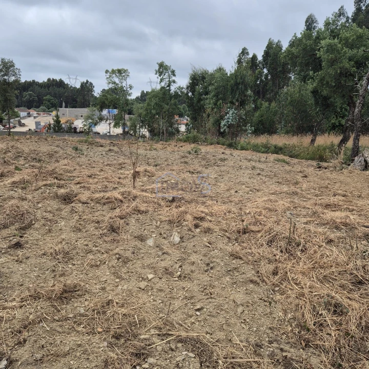 Terreno para Venda em Ferreira do Zezere Foto 10