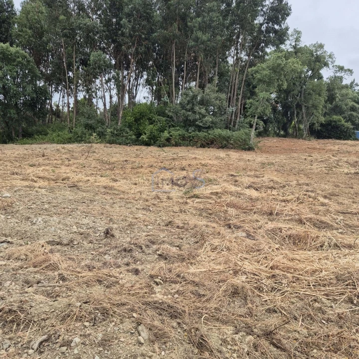 Terreno para Venda em Ferreira do Zezere Foto 13