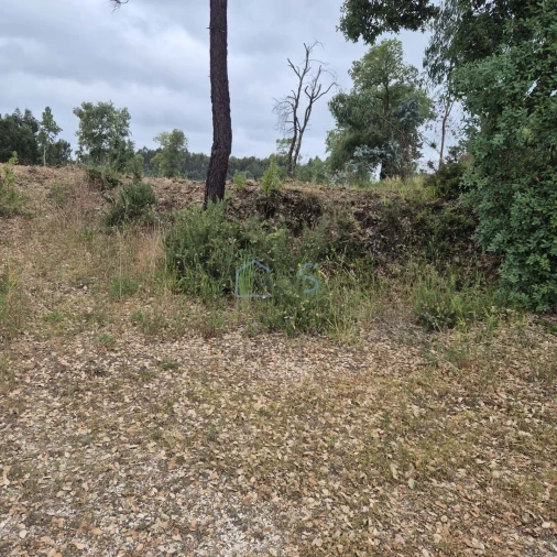 Terreno para Venda em Ferreira do Zezere Foto 8