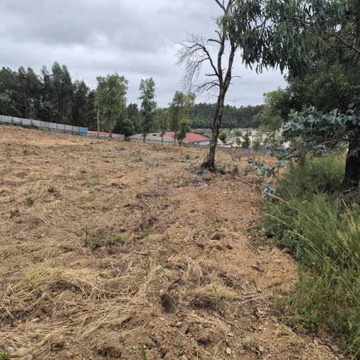 Terreno para Venda em Ferreira do Zezere Foto 15