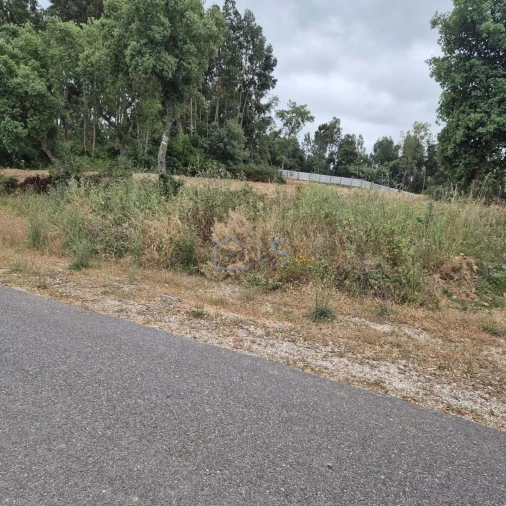 Terreno para Venda em Ferreira do Zezere Foto 2