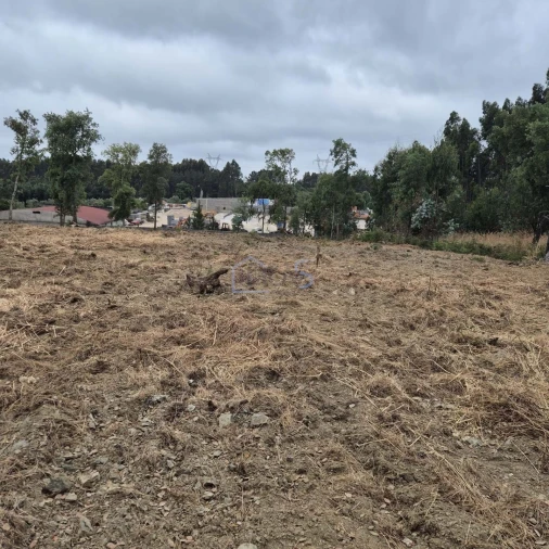 Terreno para Venda em Ferreira do Zezere Foto 19