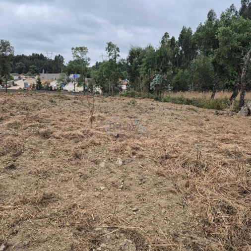 Terreno para Venda em Ferreira do Zezere Foto 9