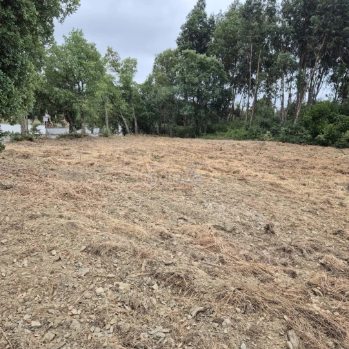 Terreno para Venda em Ferreira do Zezere Foto 14