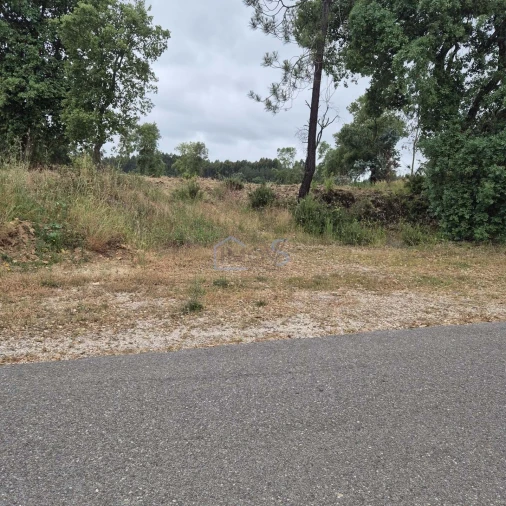 Terreno para Venda em Ferreira do Zezere