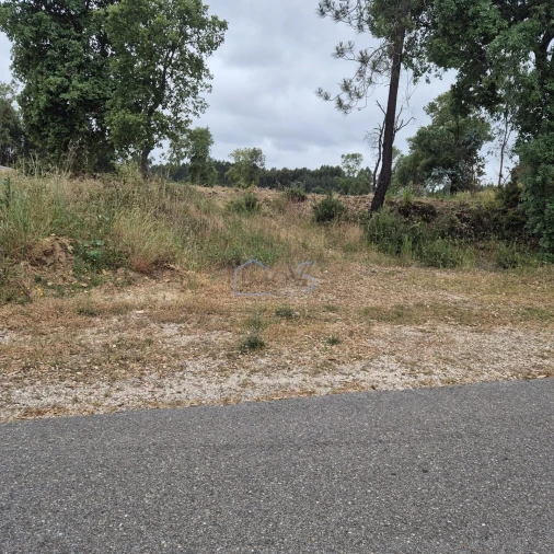 Terreno para Venda em Ferreira do Zezere Foto 3