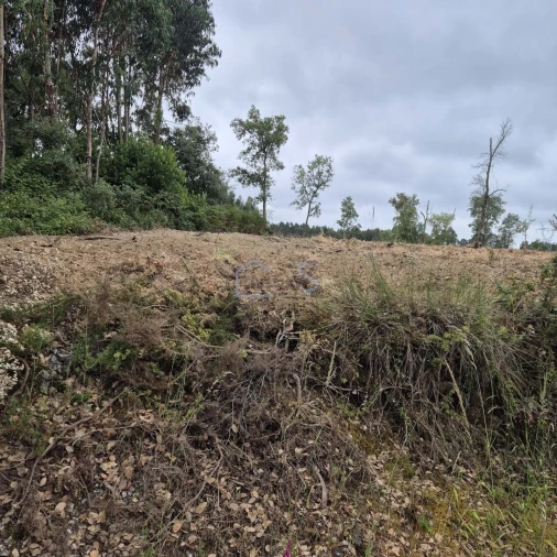 Terreno para Venda em Ferreira do Zezere Foto 5