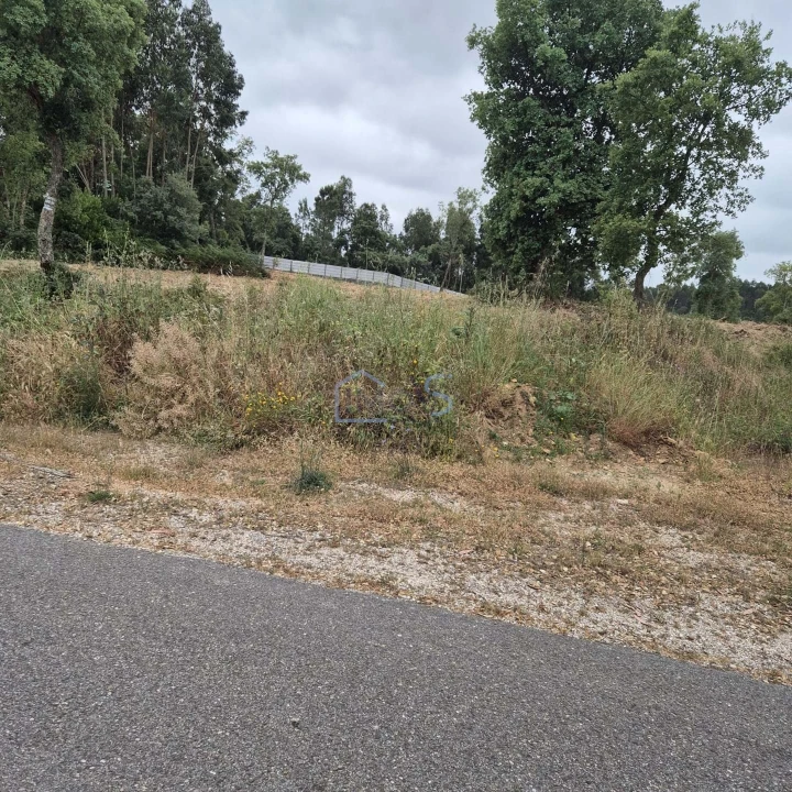 Terreno para Venda em Ferreira do Zezere Foto 12