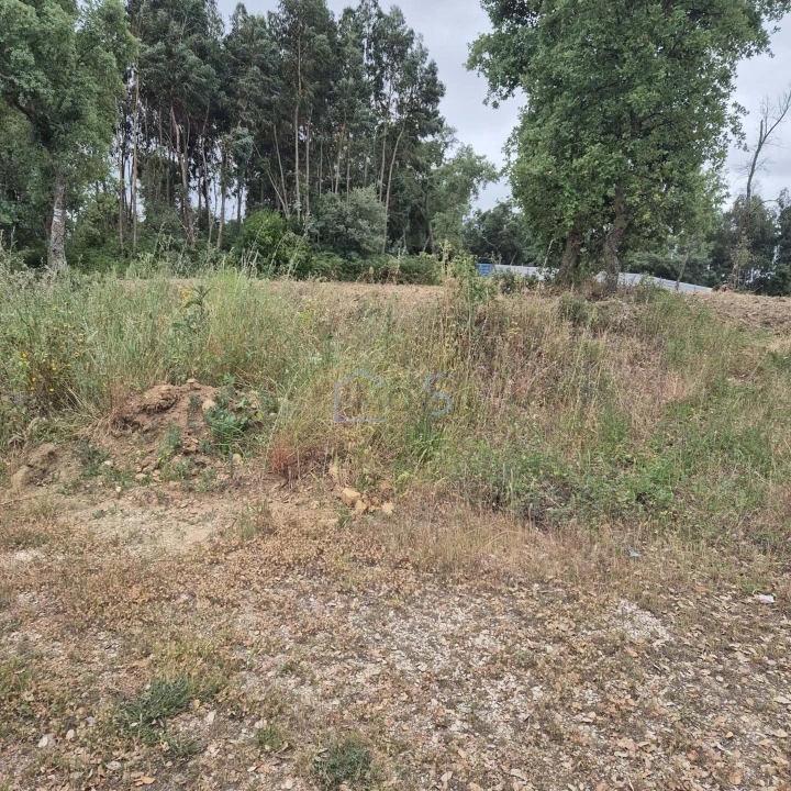Terreno para Venda em Ferreira do Zezere Foto 7