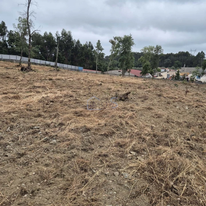 Terreno para Venda em Ferreira do Zezere Foto 18