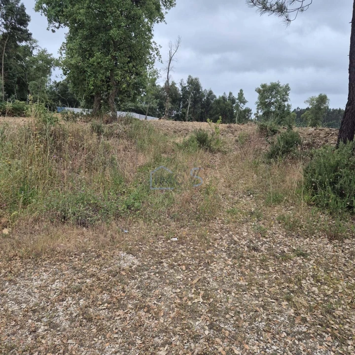 Terreno para Venda em Ferreira do Zezere Foto 8