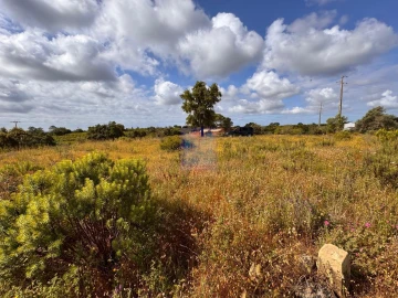 Terreno para Venda em Silves