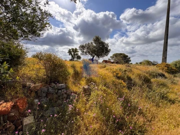 Terreno para Venda em Silves