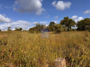 Terreno para Venda em Silves