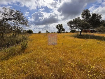 Terreno para Venda em Silves